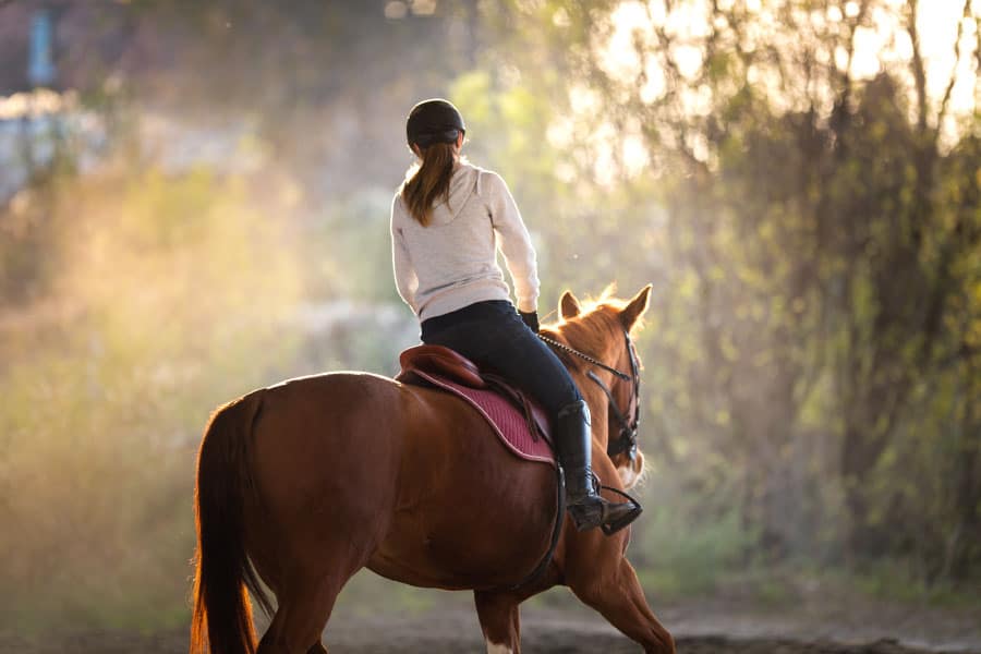 What Skills Do You Need For Horse Riding? Equestrian Space